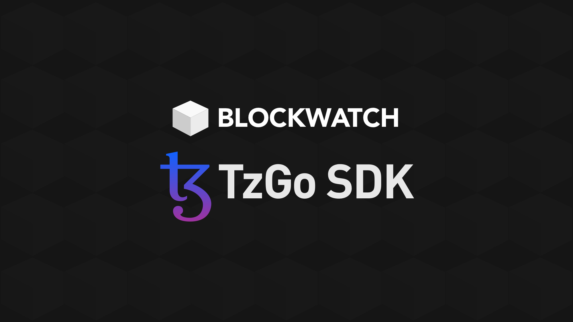 Blockwatch TzGo Development Update